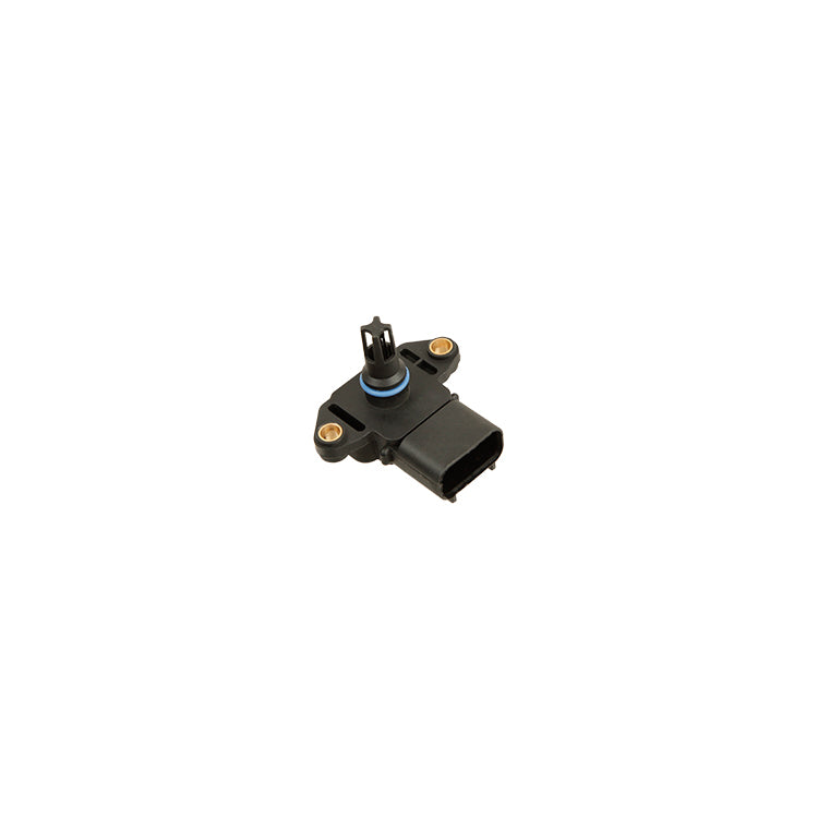 Map Sensor,
