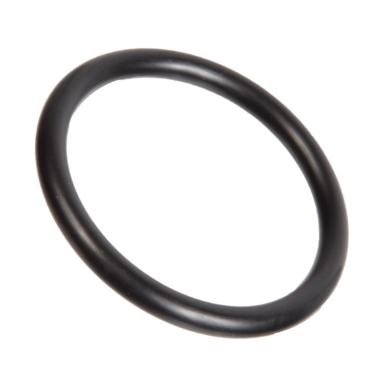 Backrest O-Ring, Seat Backrest O-Ring (20 Per Seat Required)