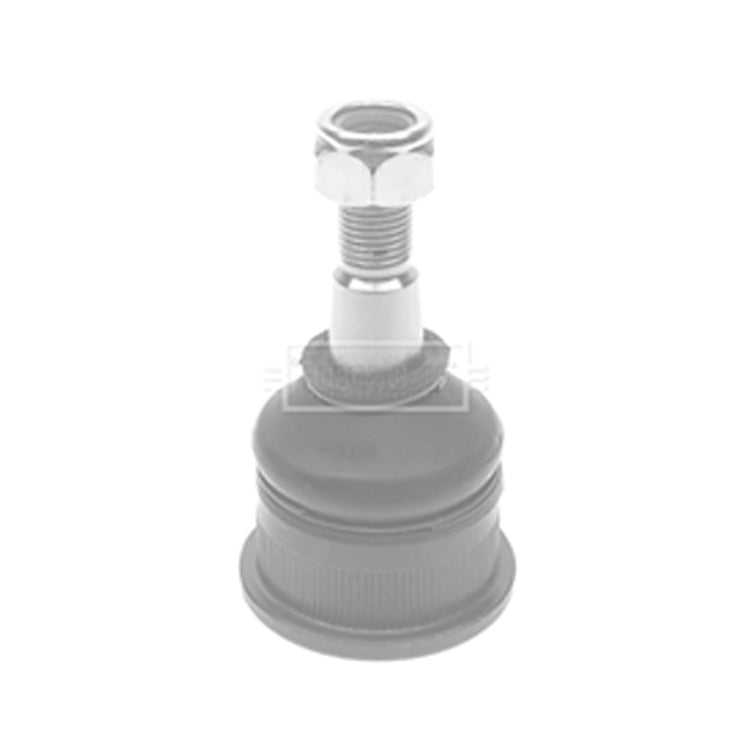 Ball Joint Lower L/R, Ball Joint Lower L/R