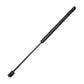 Boot Lid Strut, Boot / Trunk Lid Strut