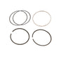 Piston Ring Set, +20 Oversize - Single Piston Only, Piston Ring Set, +20 Oversize - 3.8 Litre, 3 Groove Piston. Set Is For A Single Piston Only.