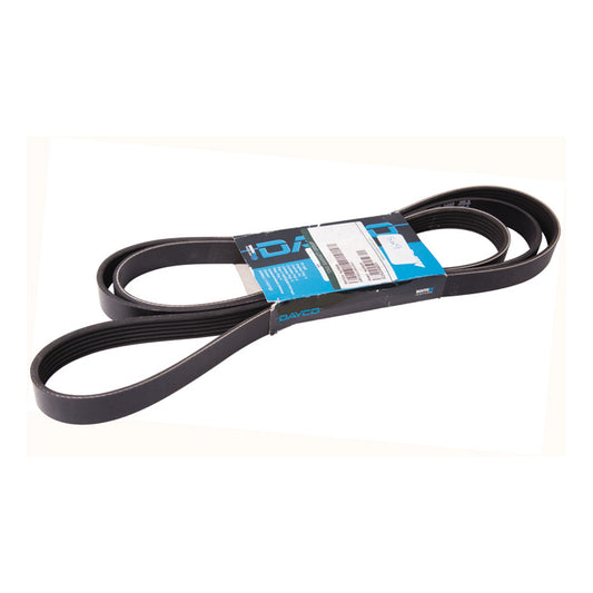 Drive Belt, Drive Belt. X Type, V6 Petrol
