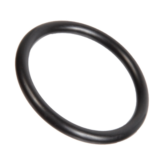 Backrest O-Ring, Seat Backrest O-Ring (20 Per Seat Required)