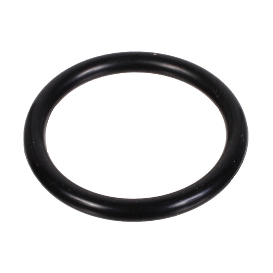 O Ring, O Ring Inside Trunnion Of Steering And At Top Of Rocker Shaft