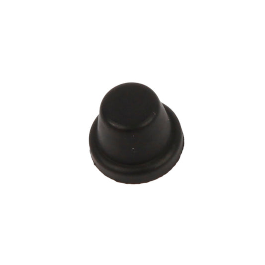 Dust Cap, Dust Cap On Bleed Screw
